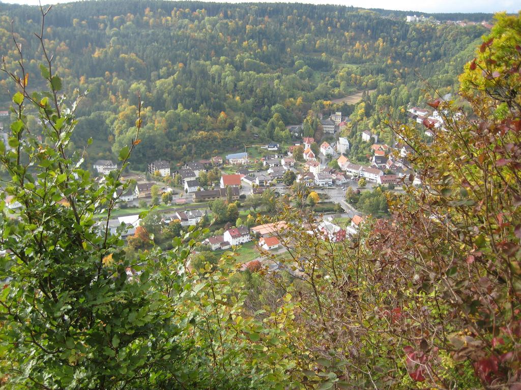 Gaestehaus Krone Oberndorf am Neckar Phòng bức ảnh